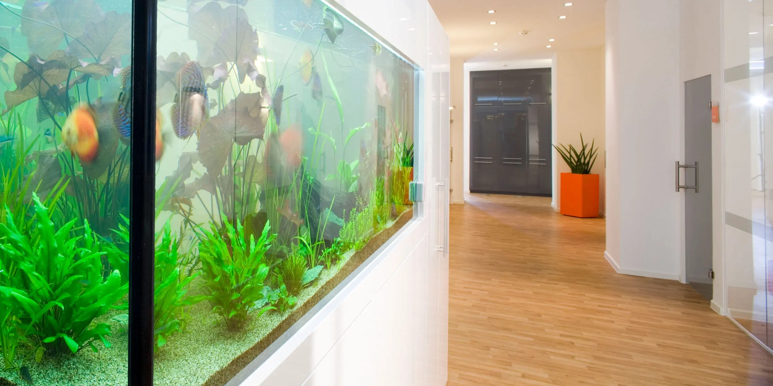 kleve_gallery_6.jpg